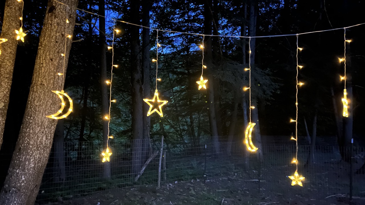 Photo of Outdoor in Tunbridge