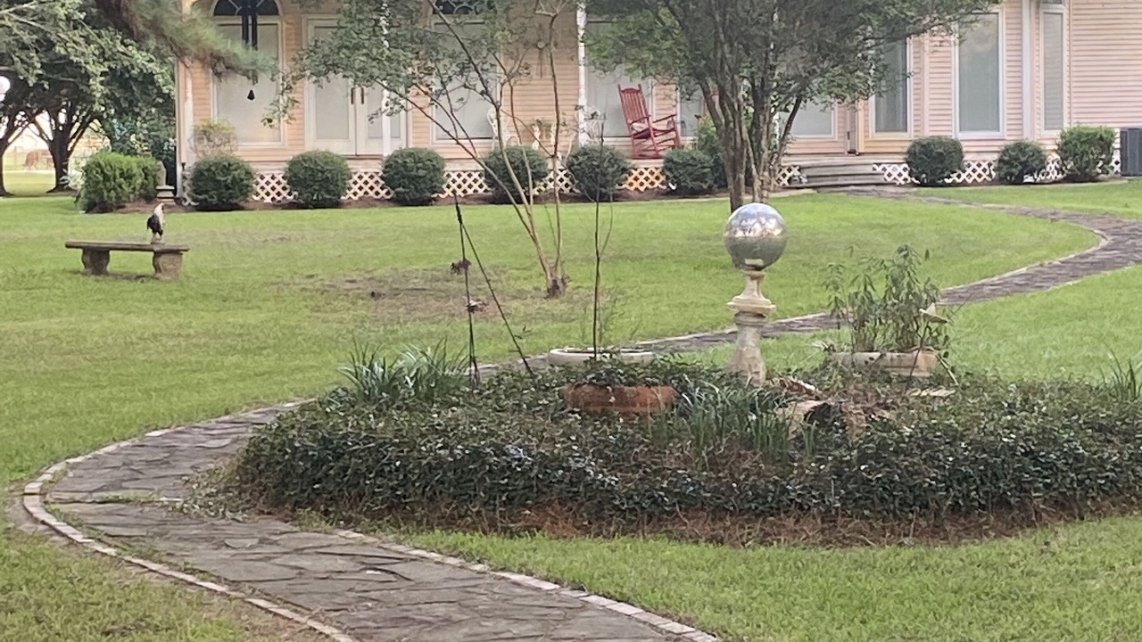 Photo of Outdoor in Beaumont