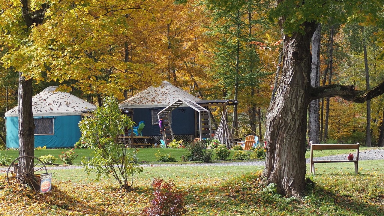 Photo of Outdoor in South Hartford