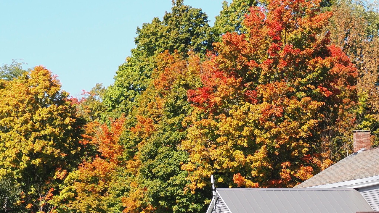 Photo of Outdoor in South Hartford