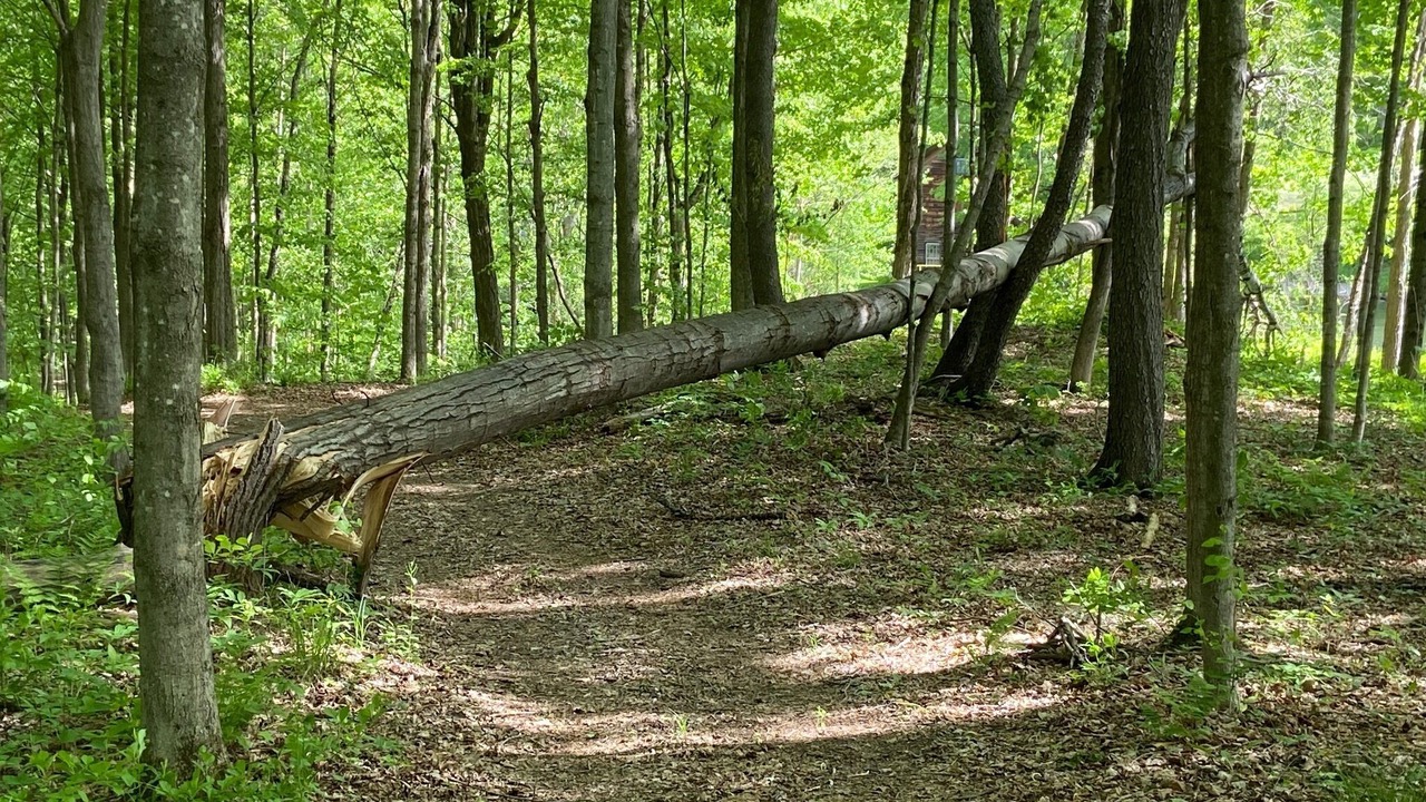 Photo of Others in South Hartford