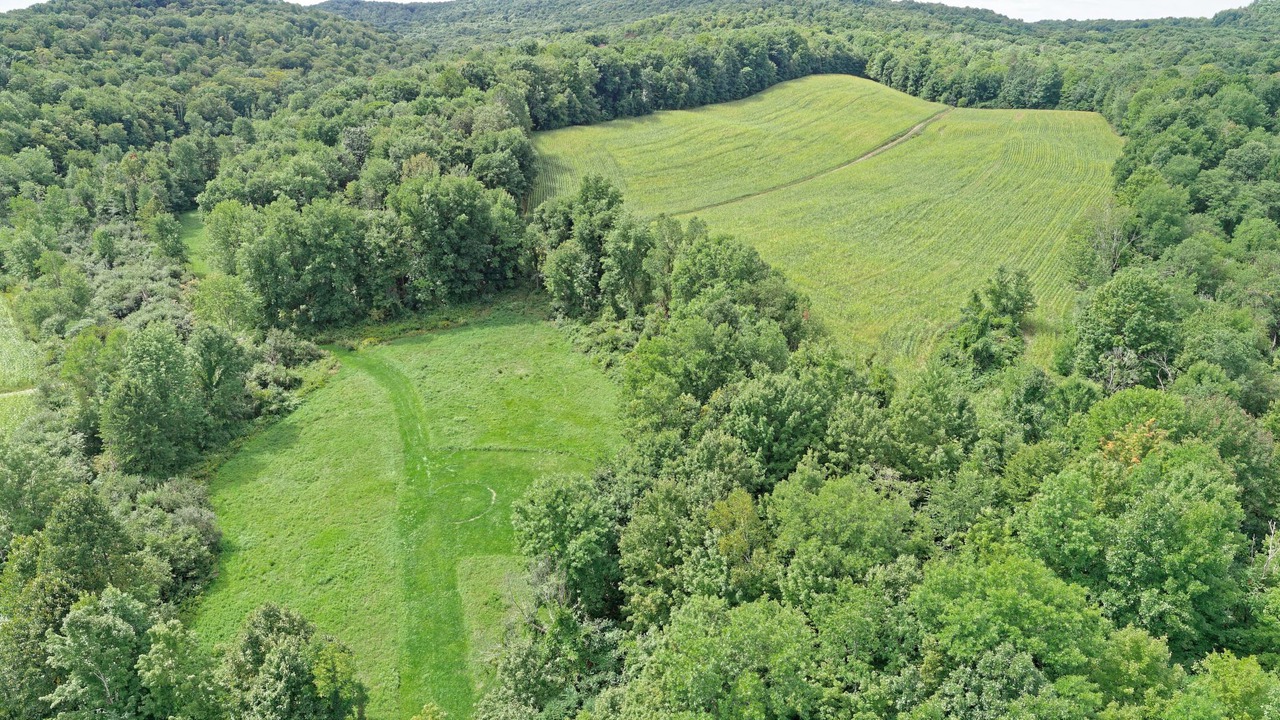 Photo of Outdoor in South Hartford