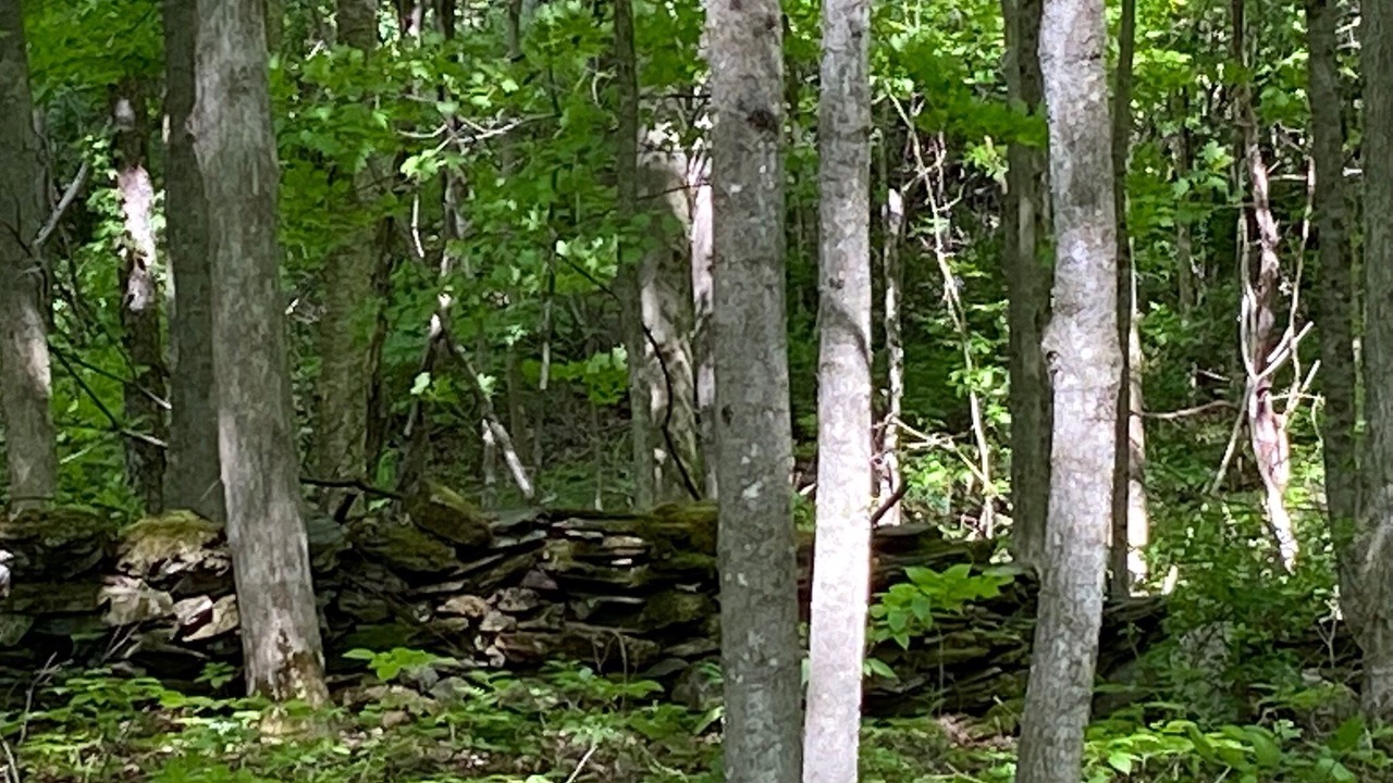 Photo of Outdoor in South Hartford
