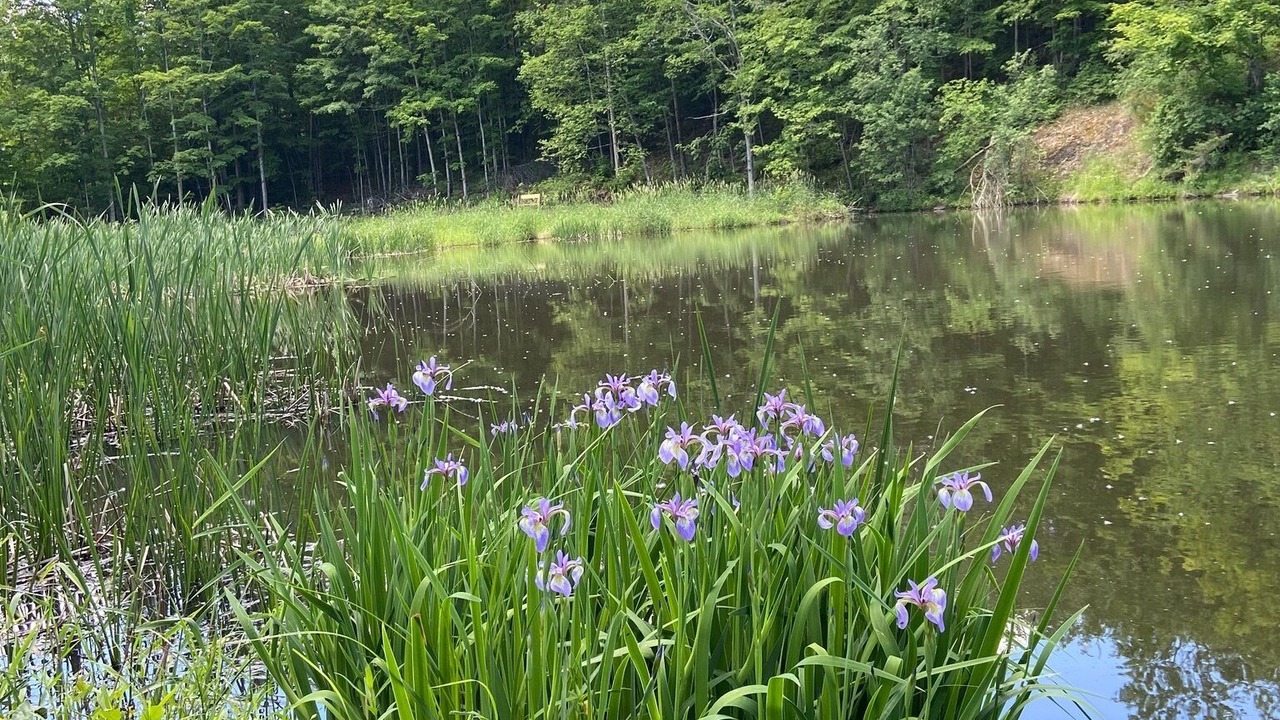 Photo of Outdoor in South Hartford