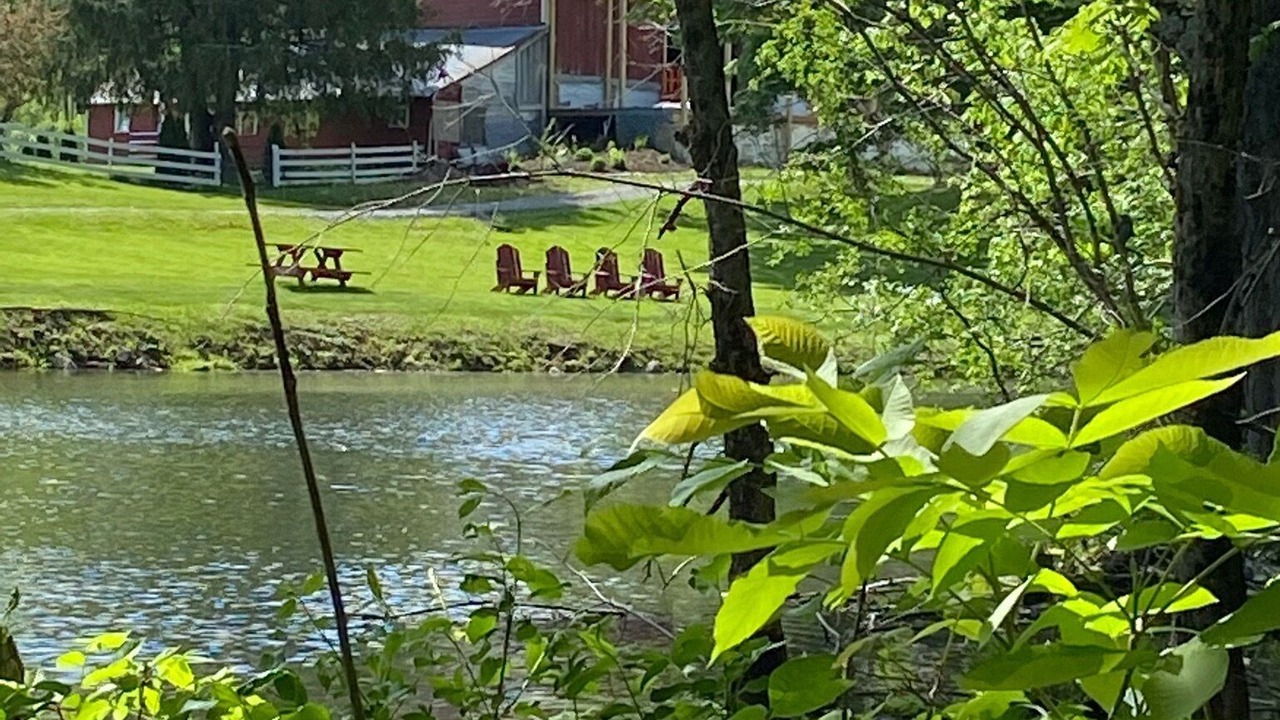 Photo of Outdoor in South Hartford