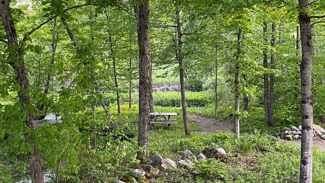 Photo of Outdoor in South Hartford