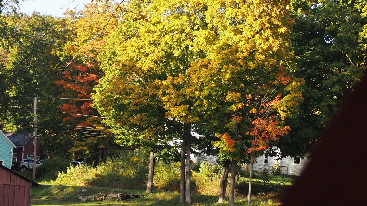 Photo of Outdoor in South Hartford