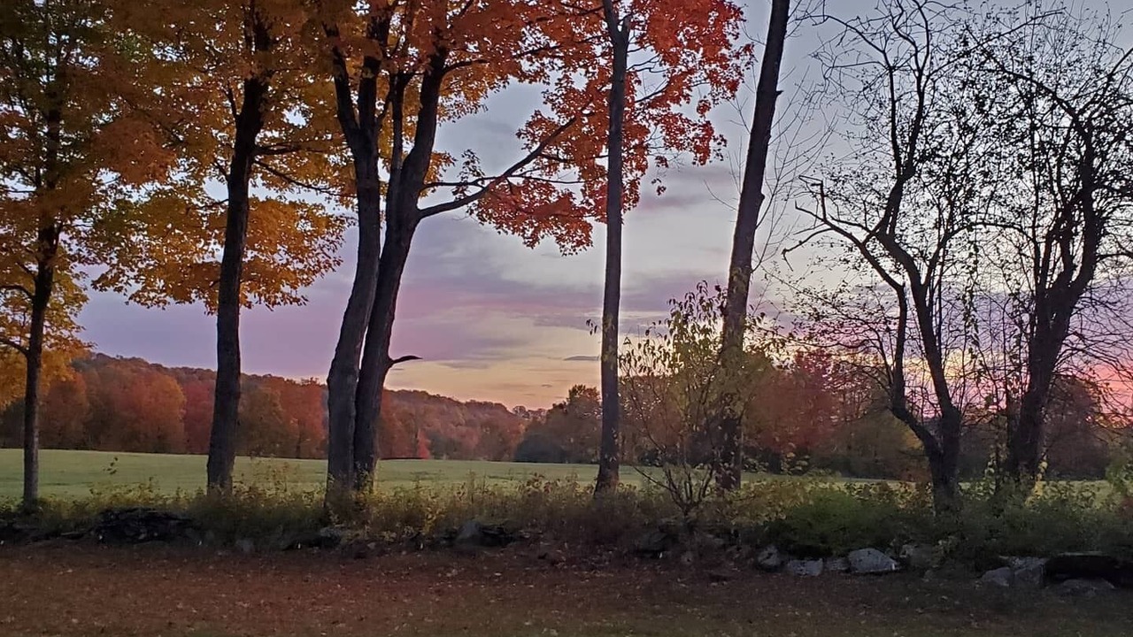 Photo of Outdoor in Brownsville