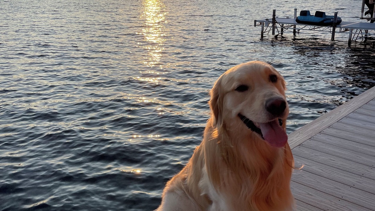 Photo of Others in Crystal Beach