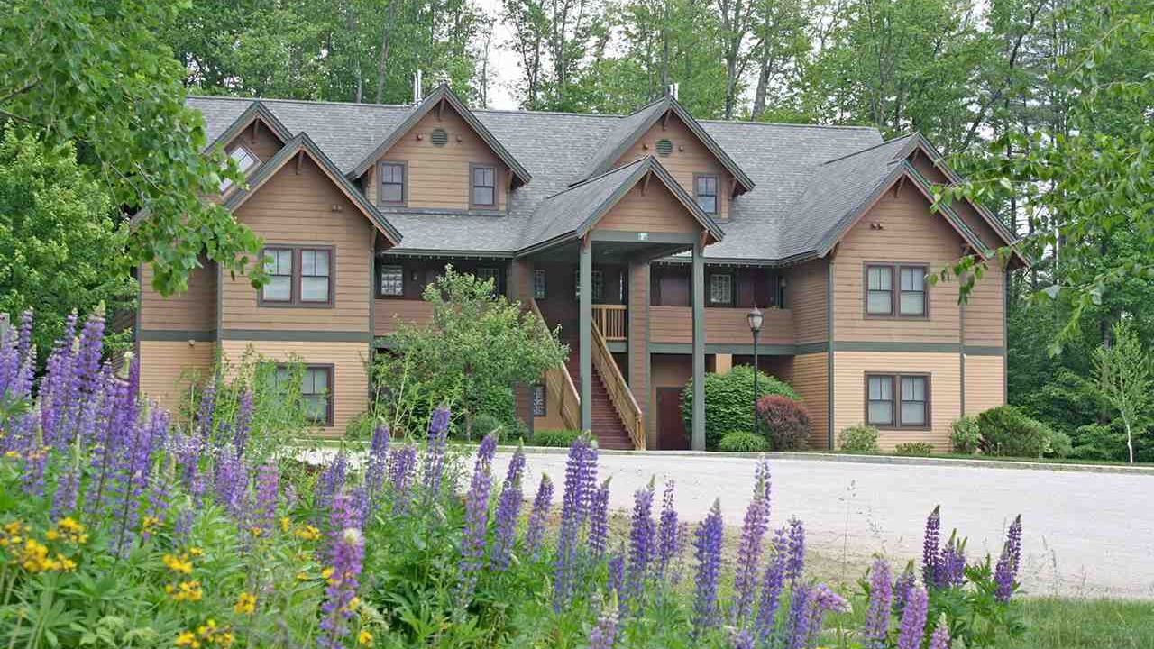 Photo of Outdoor in Proctorsville