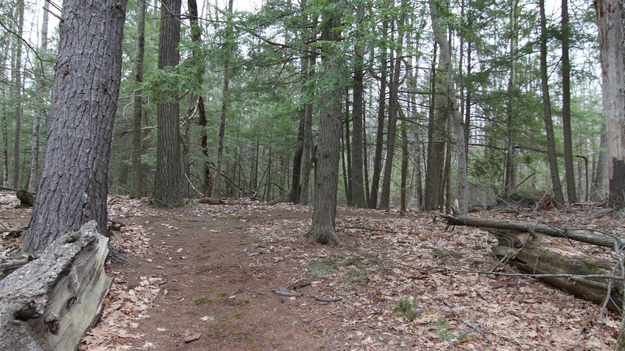 Photo of Outdoor in Bar Mills