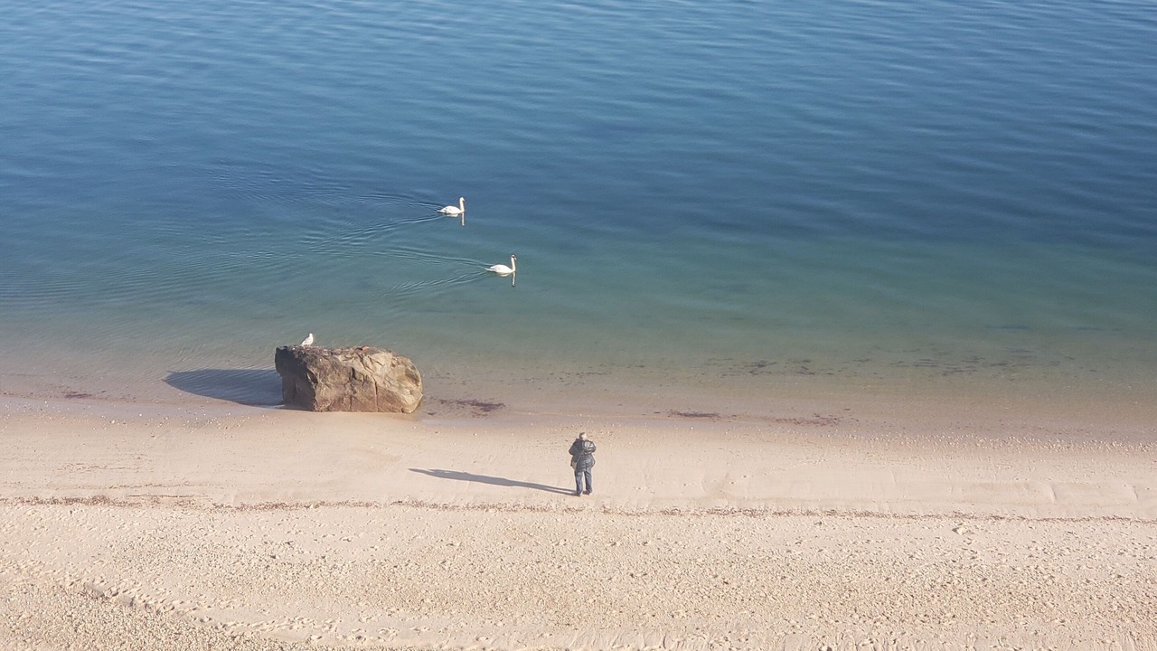 Photo of Others in Baiting Hollow