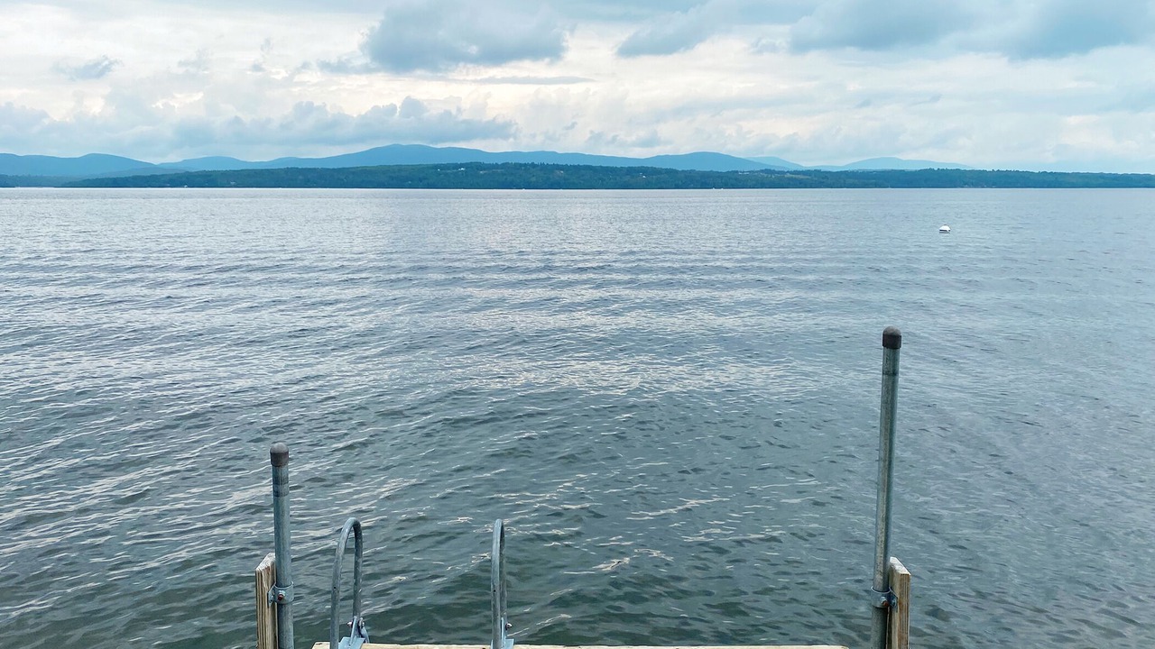 Photo of Others in Rangeley Plantation