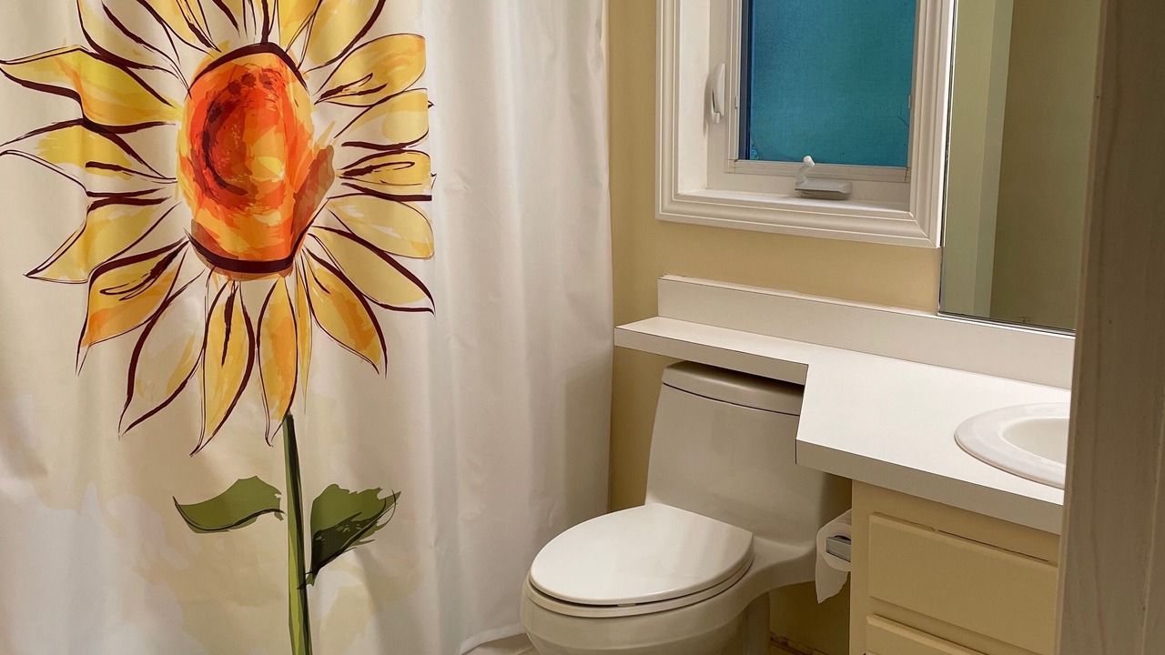 Photo of Bathroom in Moultonborough