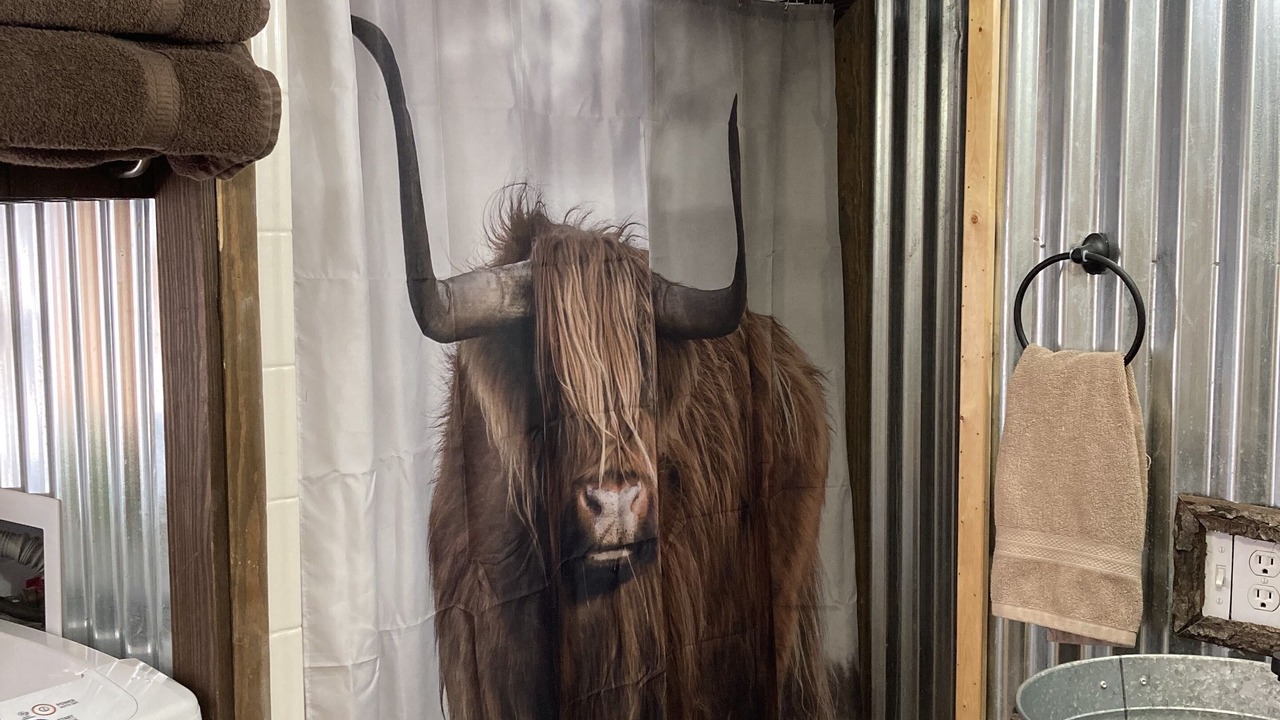 Photo of Bathroom in Matewan