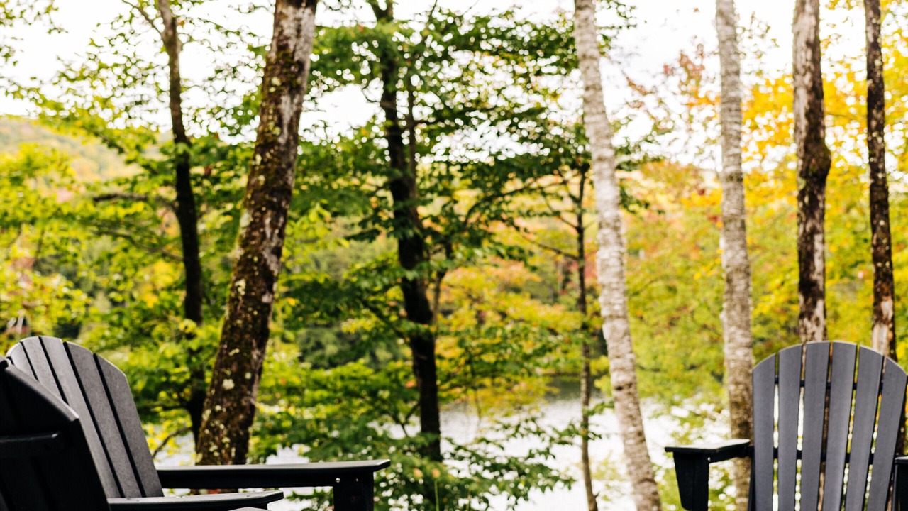 Photo of Others in Green Mountains