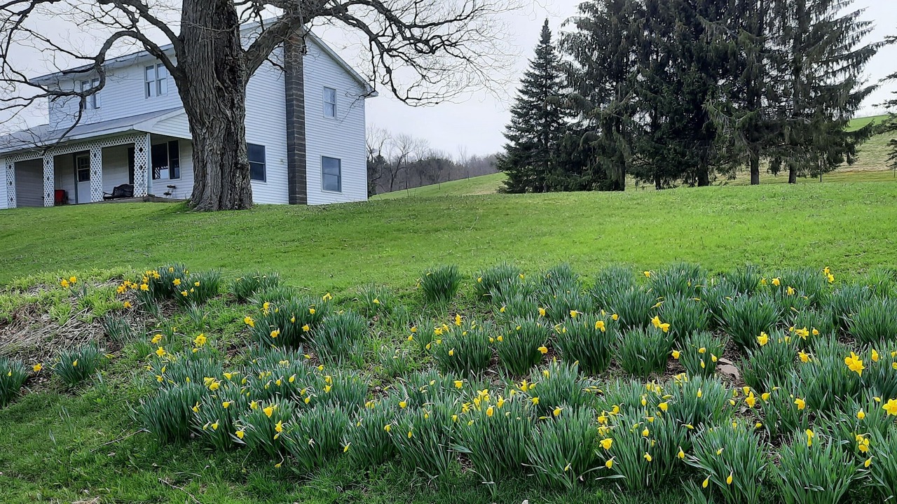 Photo of Outdoor in Otego