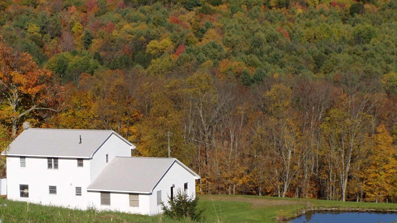 Photo of Outdoor in Otego