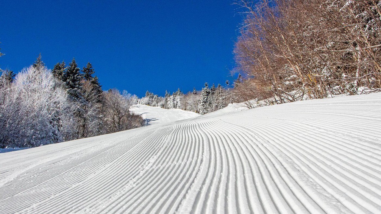 Photo of Others in Stratton Mountain
