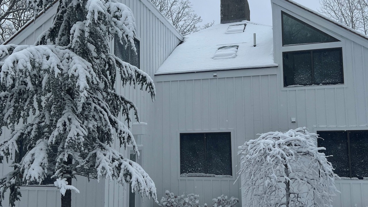 Photo of Outdoor in Springs
