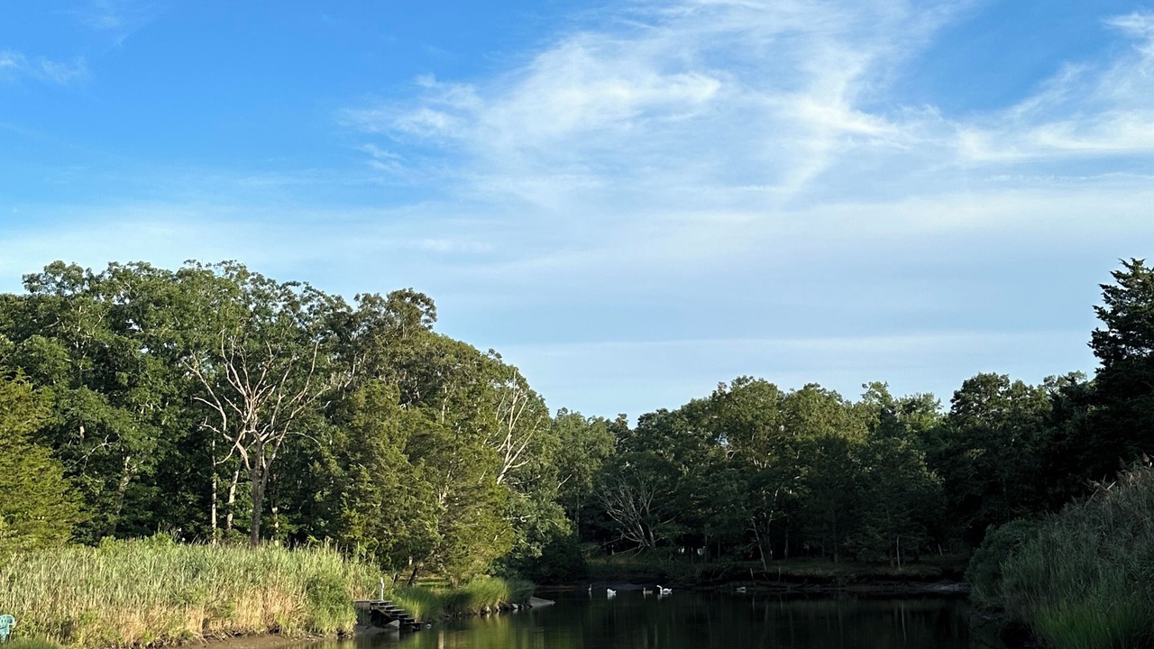 Photo of Outdoor in Springs
