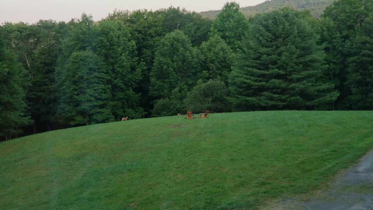Photo of Outdoor in Windham