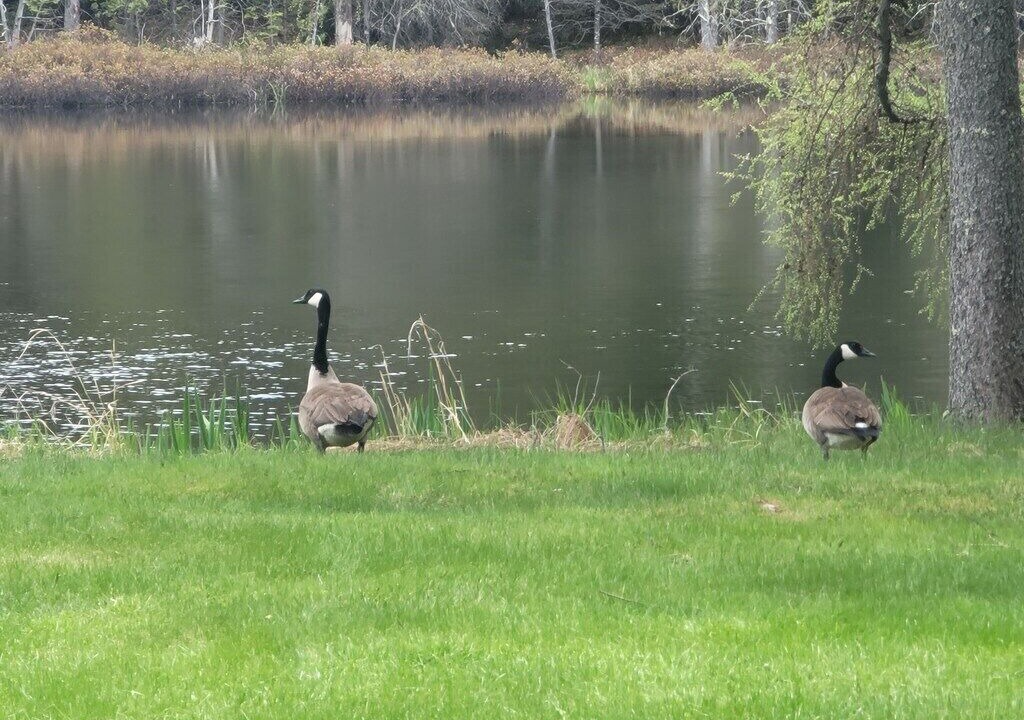 Photo of Others in Stewartstown