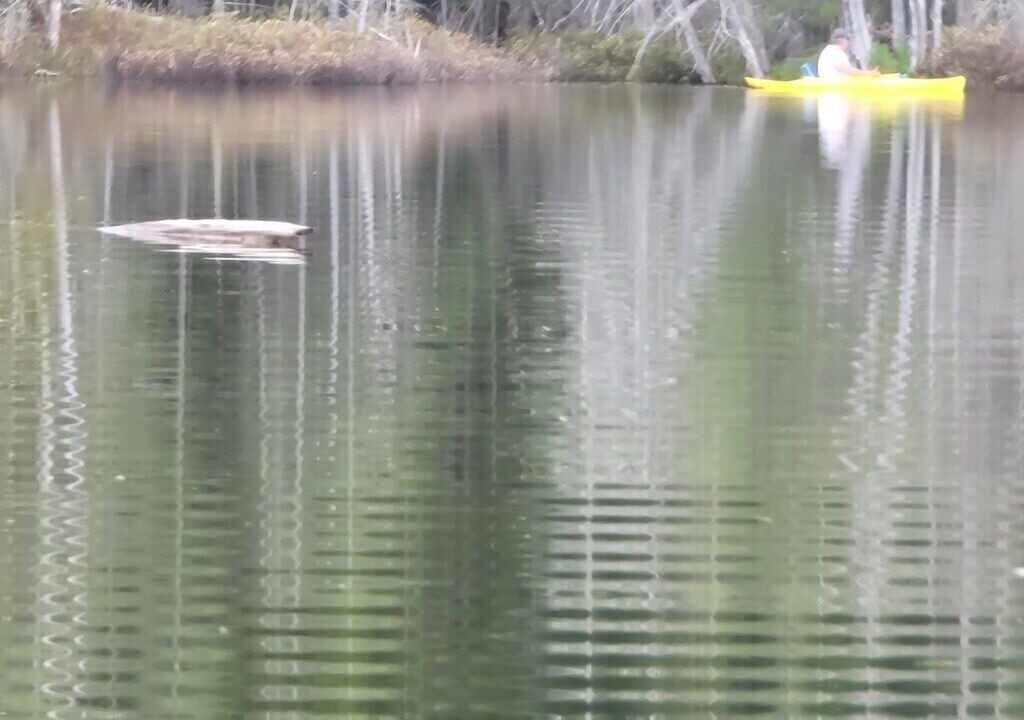 Photo of Others in Stewartstown