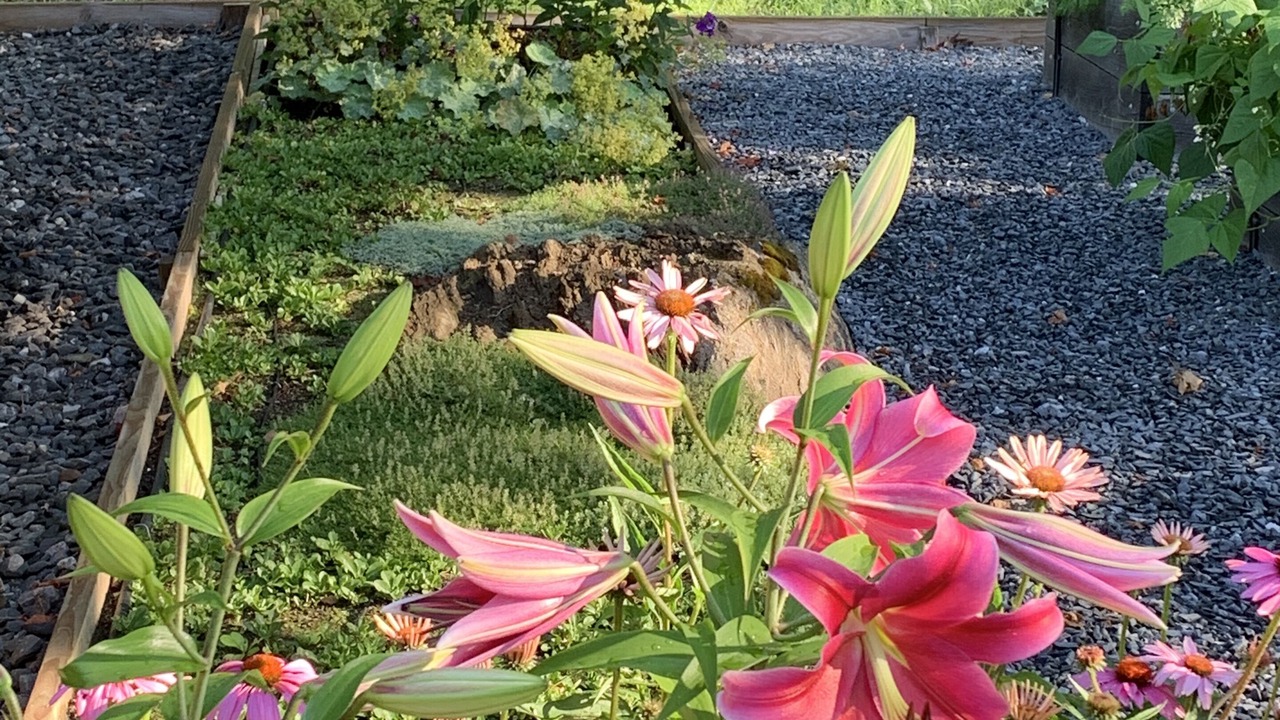 Photo of Outdoor in Post Mills