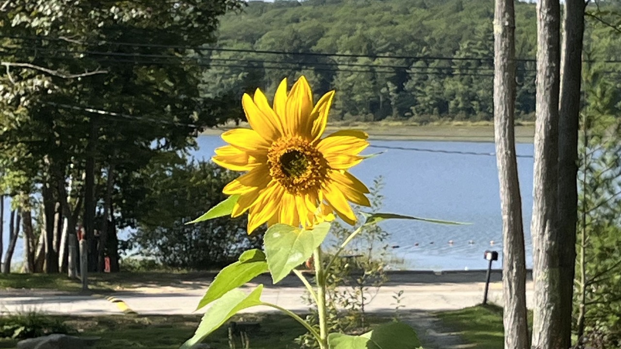 Photo of Outdoor in Gilmanton