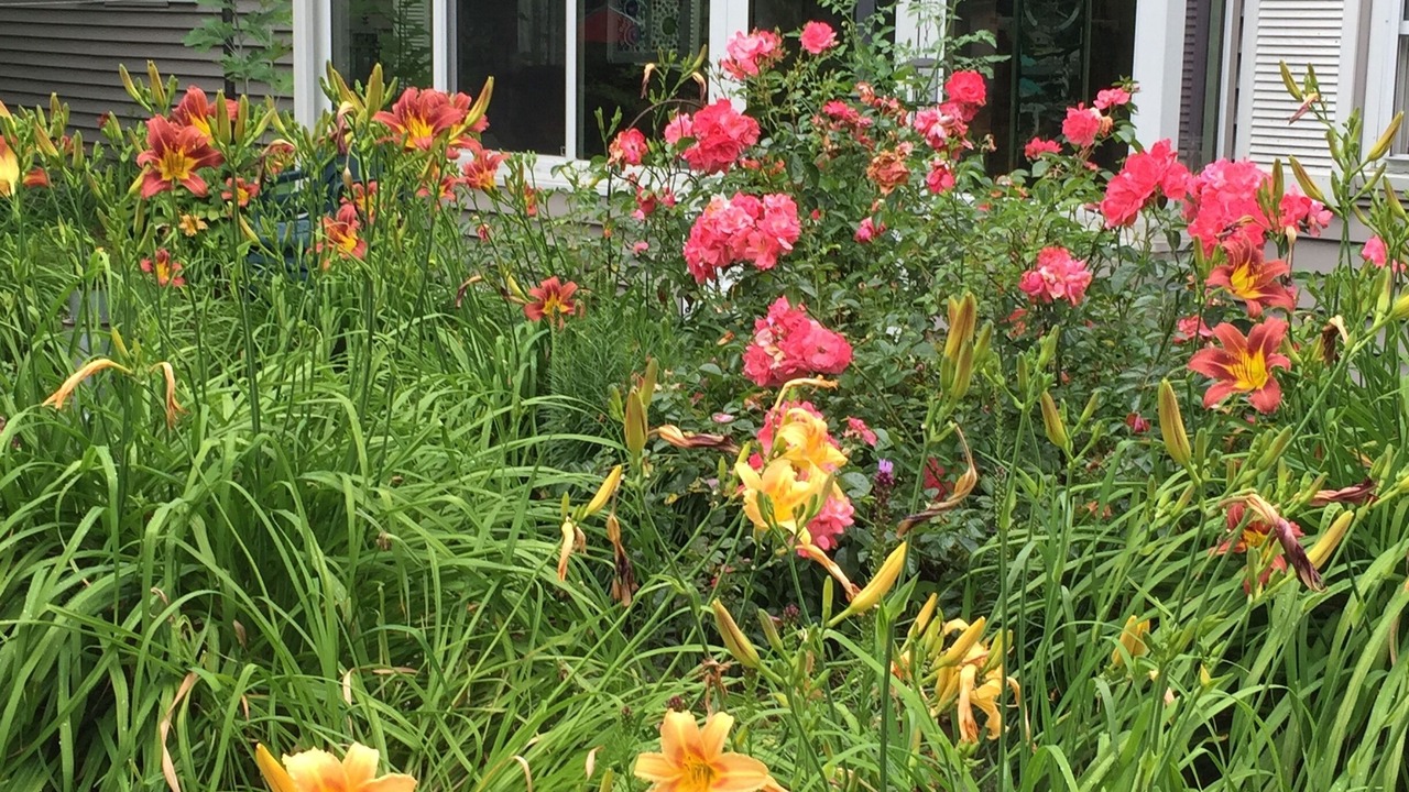 Photo of Outdoor in Goffstown