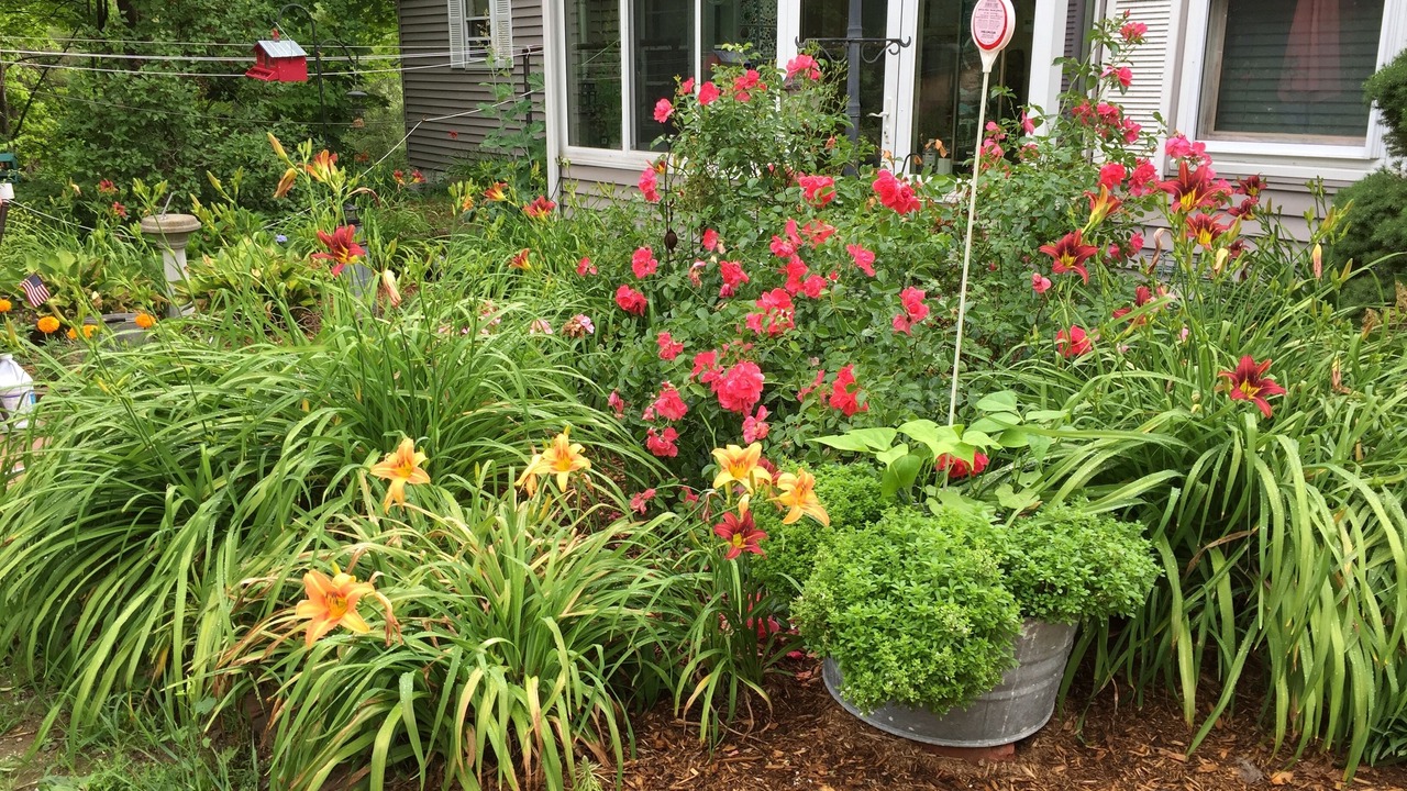 Photo of Outdoor in Goffstown