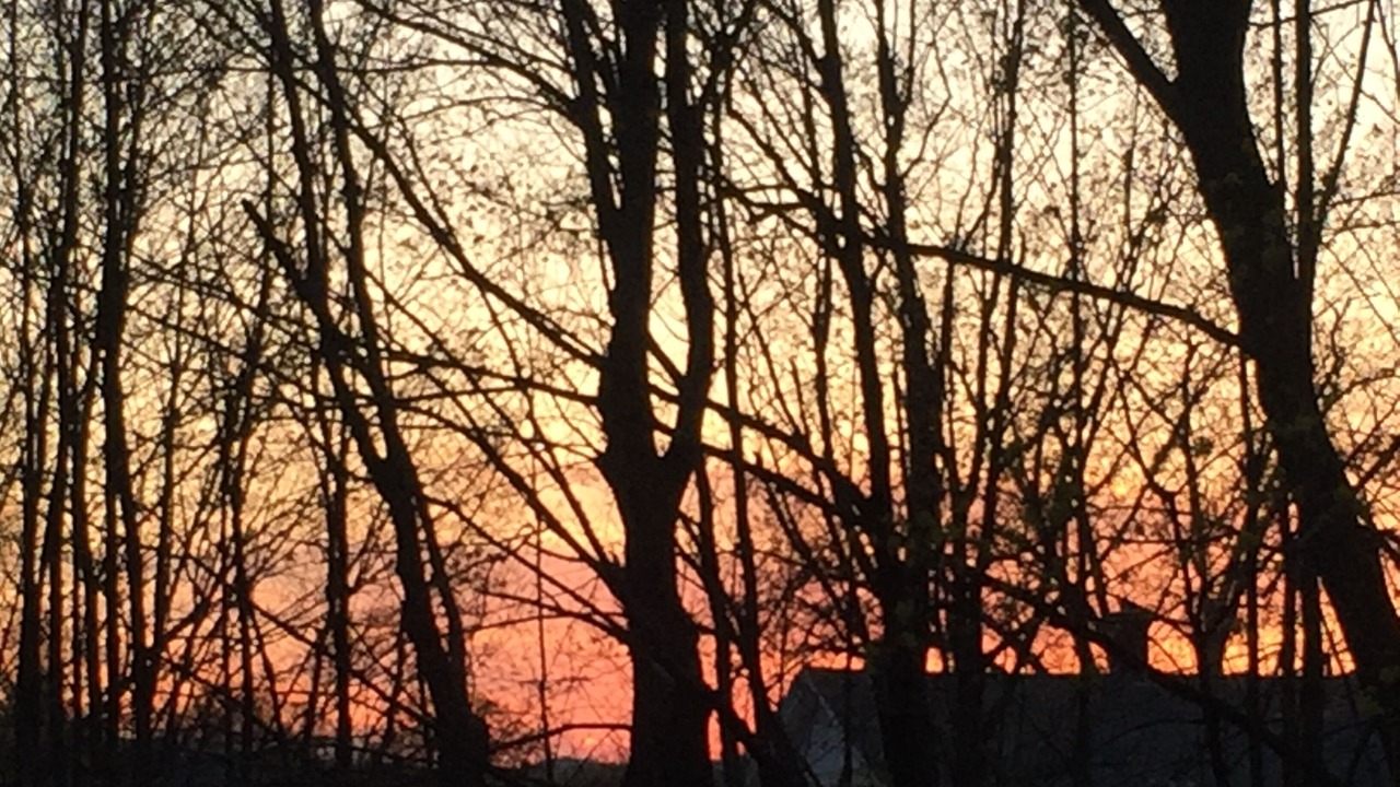 Photo of Outdoor in Goffstown