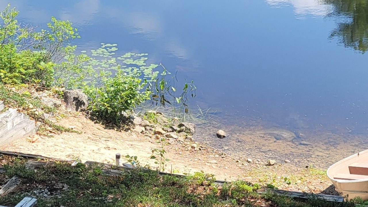 Photo of Others in Moultonborough