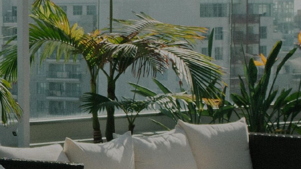 Photo of Outdoor in Chinatown