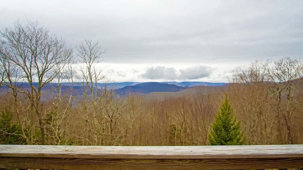 Photo of Others in Snowshoe