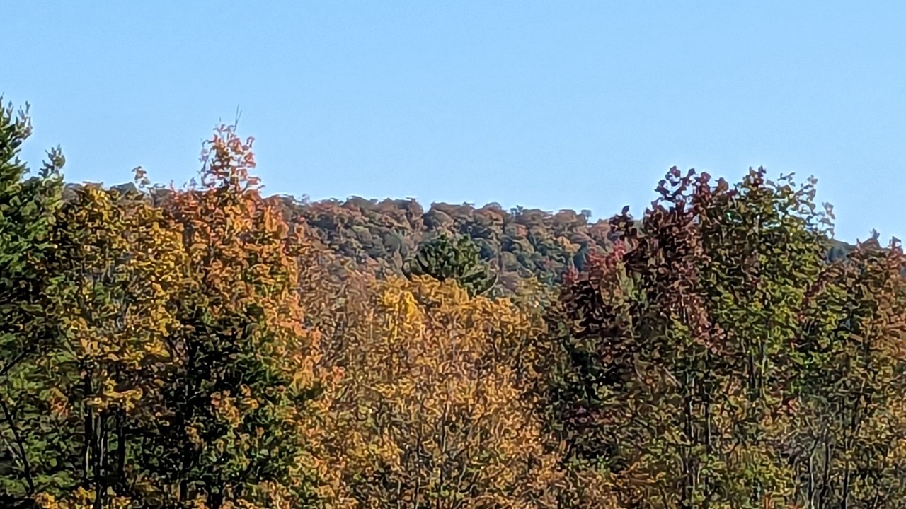 Photo of Others in Bethel