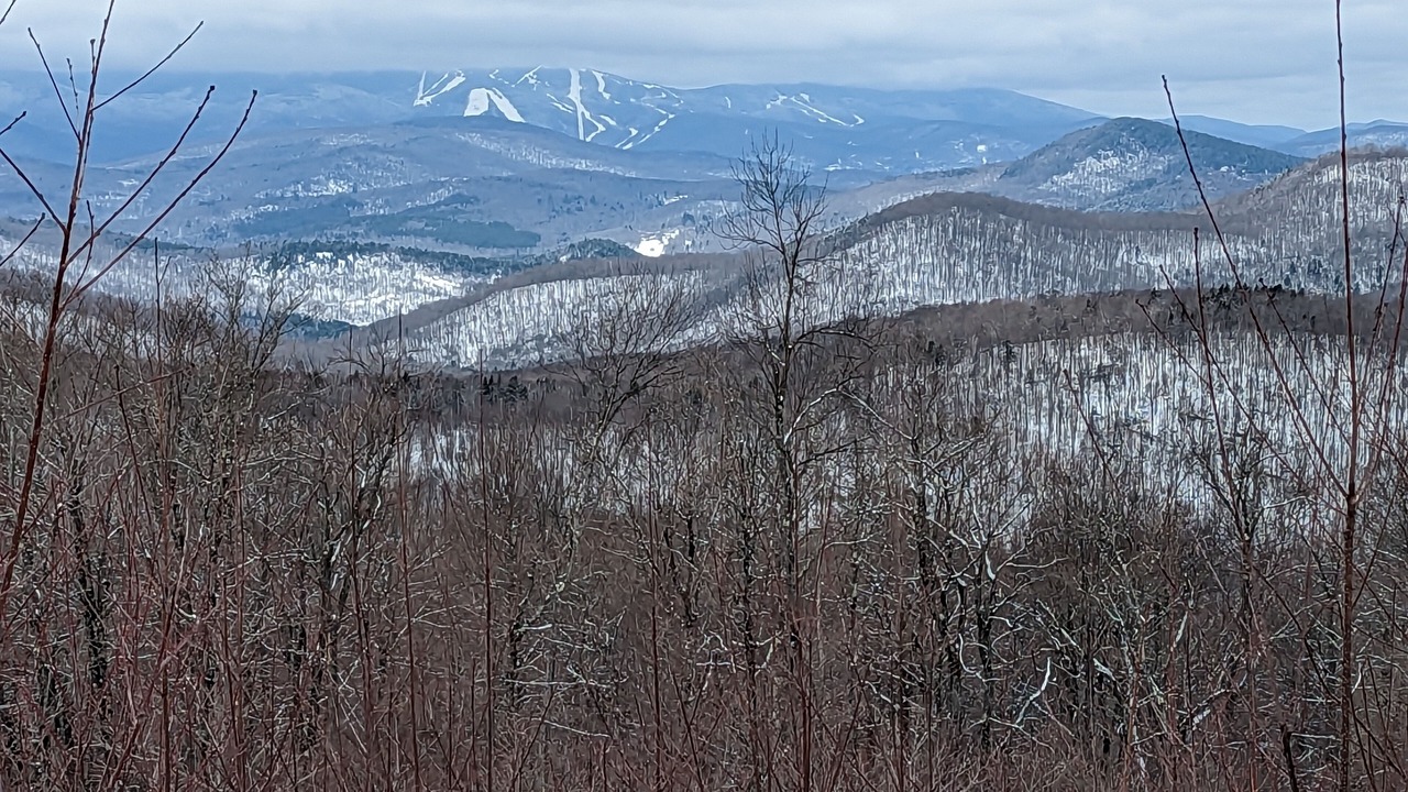 Photo of Others in Bethel