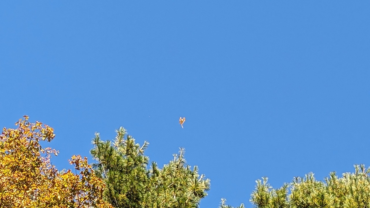 Photo of Outdoor in Bethel
