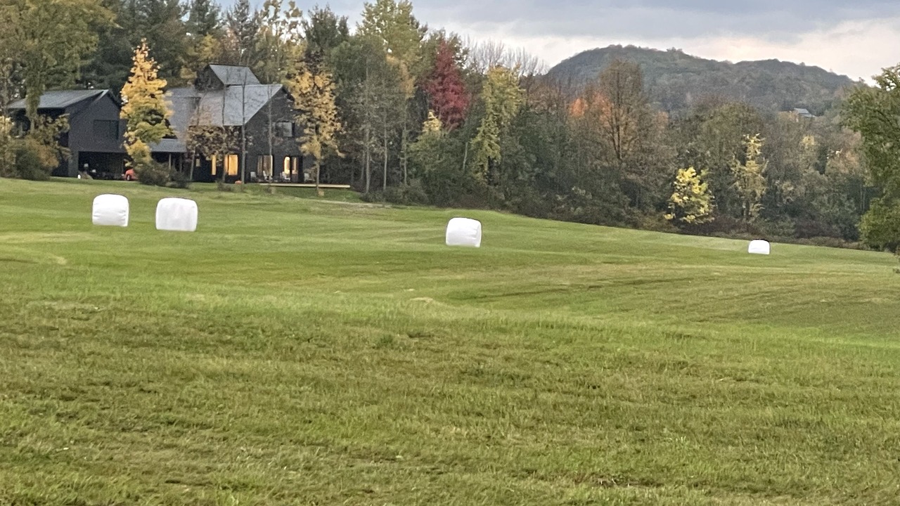 Photo of Others in Middlebury - Warren