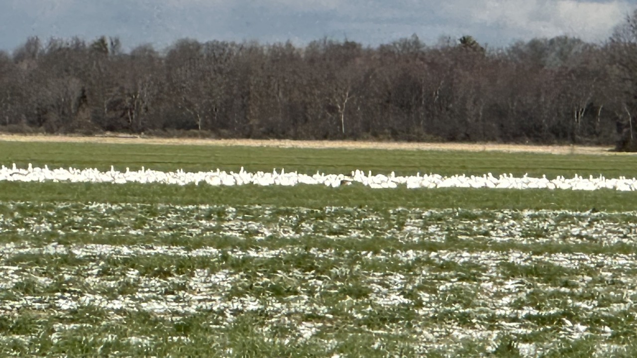 Photo of Others in Middlebury - Warren