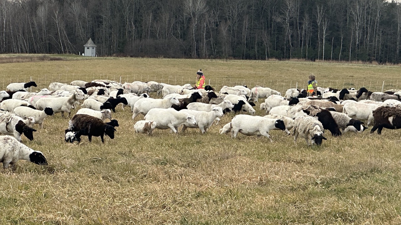 Photo of Others in Middlebury - Warren
