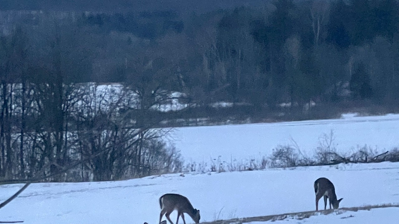 Photo of Others in Middlebury - Warren
