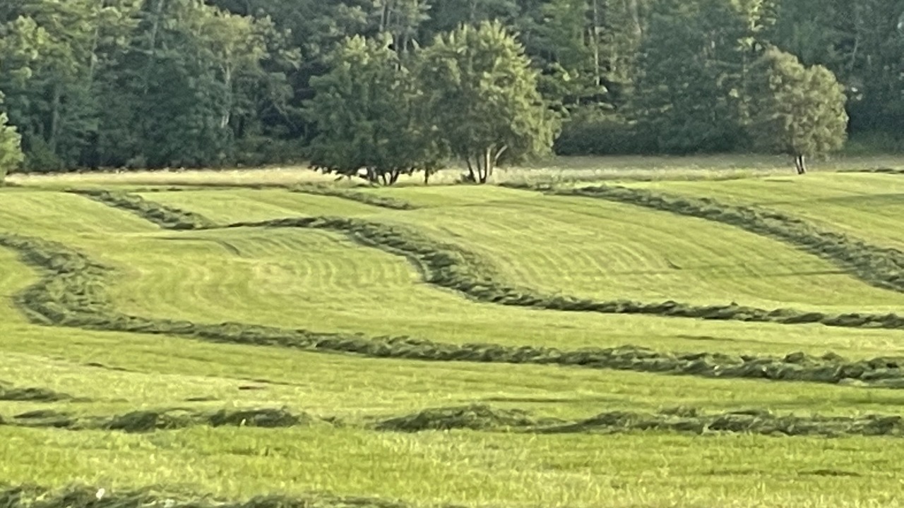 Photo of Others in Middlebury - Warren