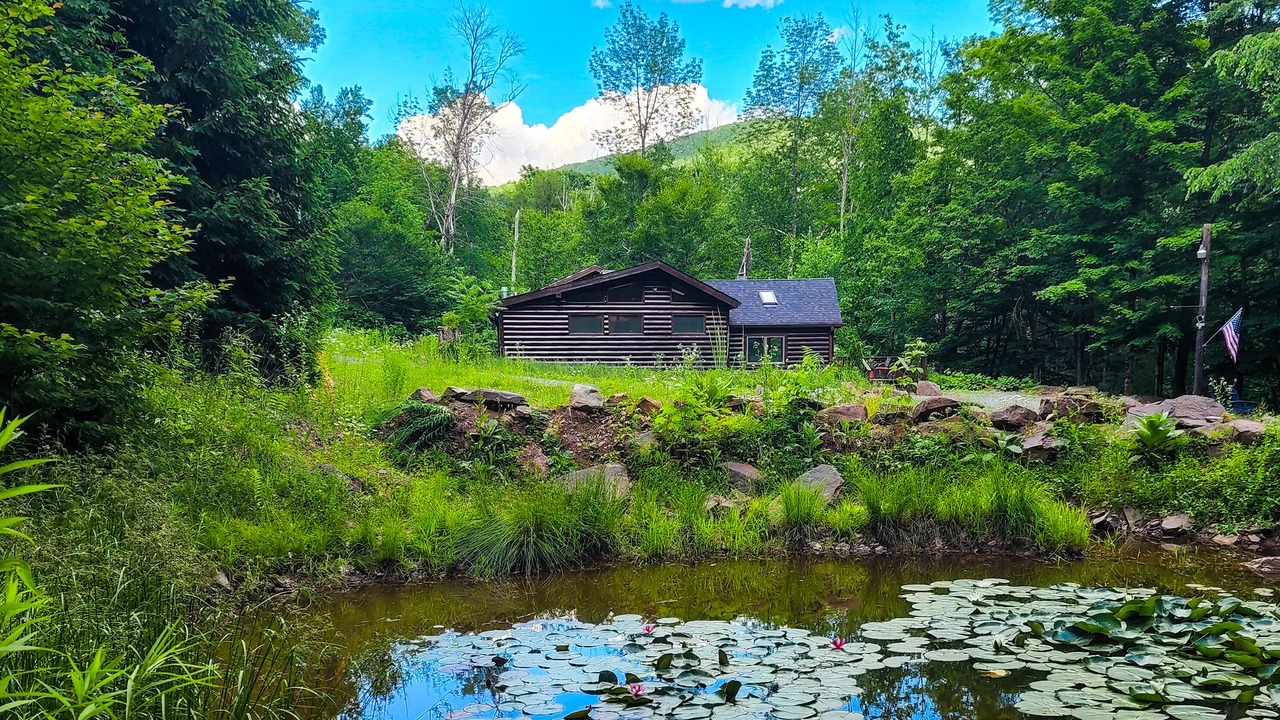 Photo of Outdoor in Shandaken