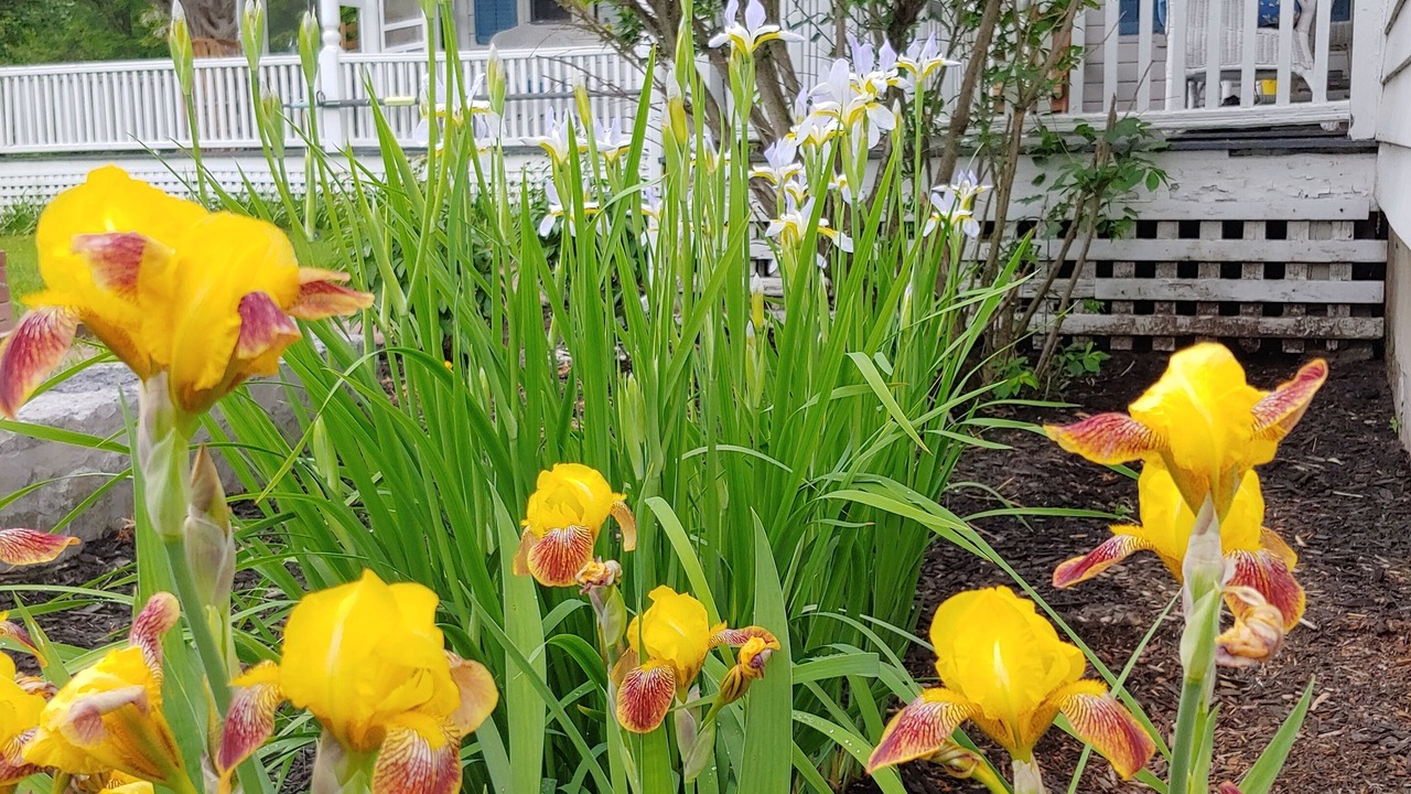 Photo of Outdoor in Chittenden County