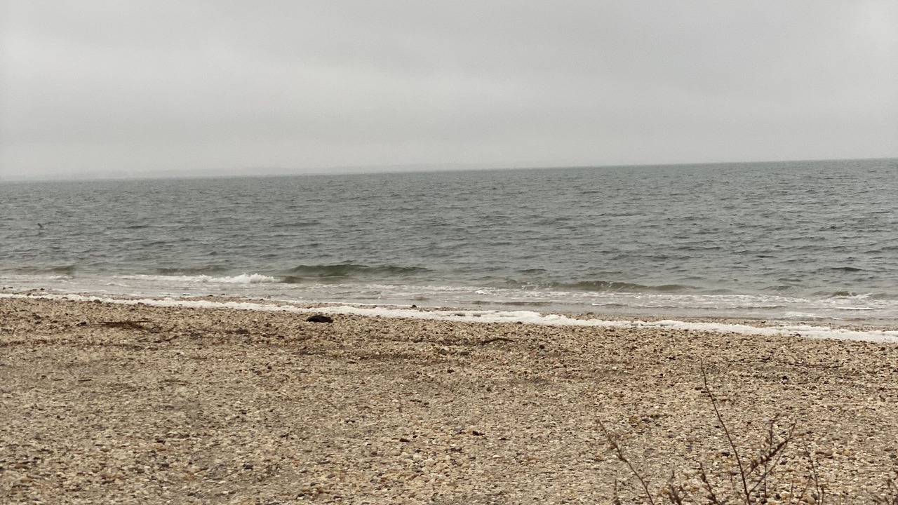 Photo of Others in Hampton Bays