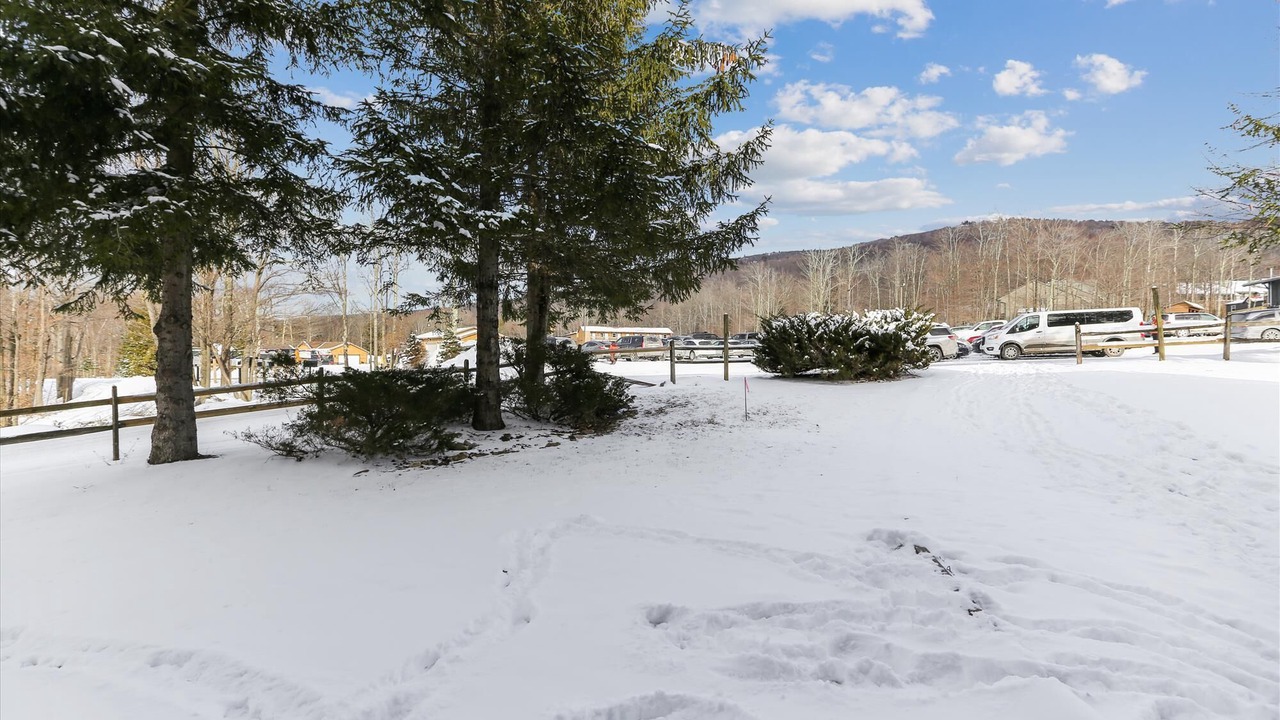 Photo of Others in Timberline