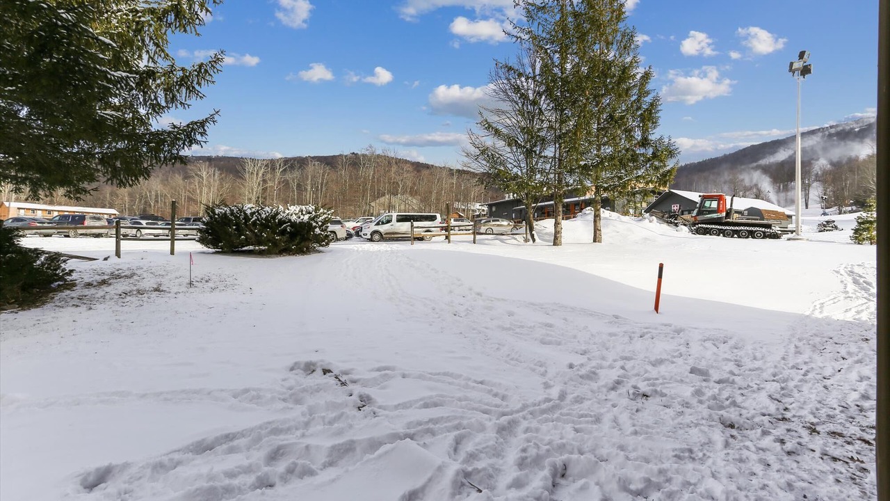 Photo of Outdoor in Timberline
