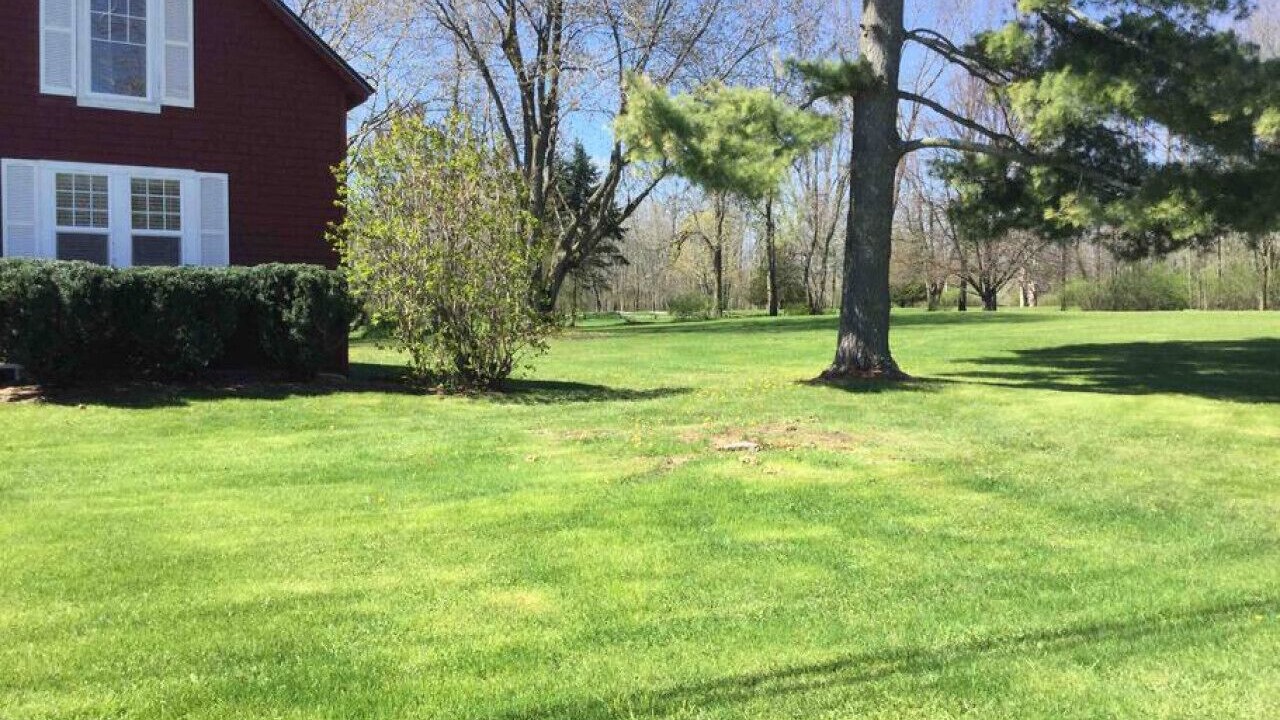 Photo of Outdoor in North Hero